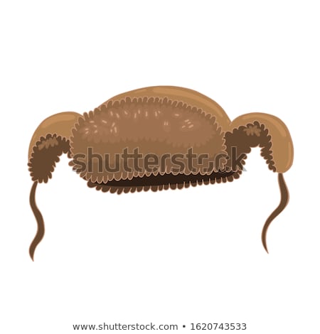 Stok fotoğraf: Hat Winter Wool Russian Item Vector Illustration