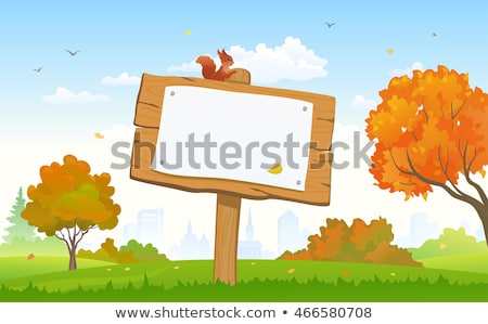 [[stock_photo]]: Squirrels And Board In The Park
