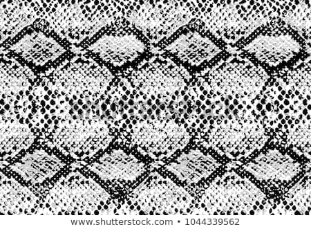 [[stock_photo]]: Reptile Skin Seamless Pattern Snake Background