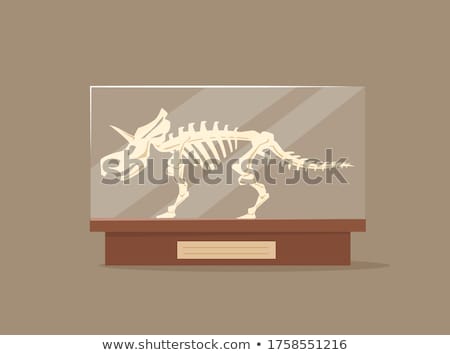 Foto stock: Toon Skeleton