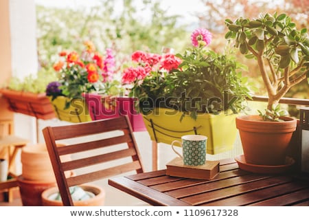 Stock photo: Balcony With Flowers