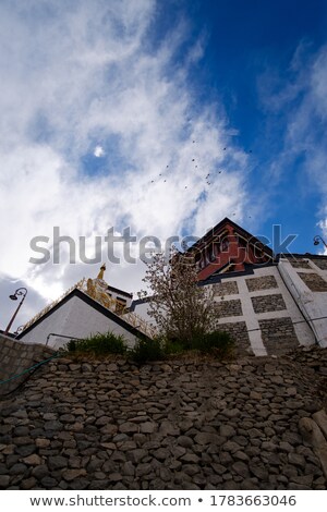 Foto stock: Buddhist Heritage Thiksey Monaster India Ladakh