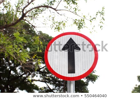 Stock photo: Four Arrows Beach Directional Post