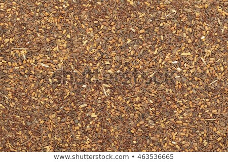 [[stock_photo]]: Eucalyptus Pellita Red Mahogany Seed