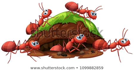 Foto stock: Red Ants Cartoon