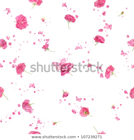 Stok fotoğraf: Butterfly Flying By The Pink Flower