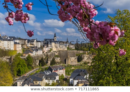 [[stock_photo]]: Panorama Of Luxembourg City