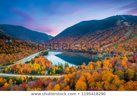 ストックフォト: Autumn Landscape With A Road