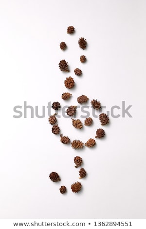 Stock fotó: Pine Cones In The Shape Of A Cones Presented On A Gray Background With Copy Space For Text Natural