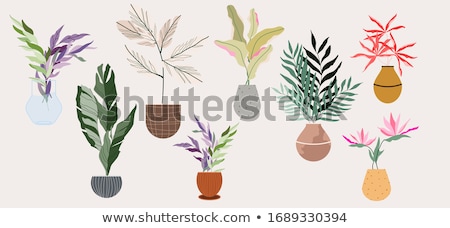 [[stock_photo]]: Flower In Vase Flower In Pot Ecological Decor