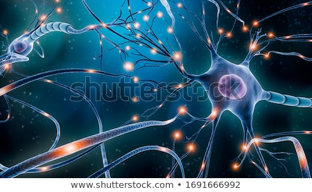 Stock foto: Neuron Cell