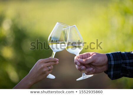 ストックフォト: Toasting With Two Glasses Of Champagne In The Vineyard