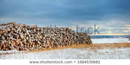 Stok fotoğraf: Snow On The Timber Stack