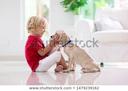 Stok fotoğraf: Dog On The Floor