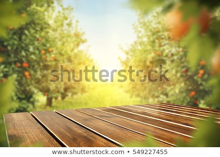 [[stock_photo]]: Slices Of Orange On Wooden Table Background