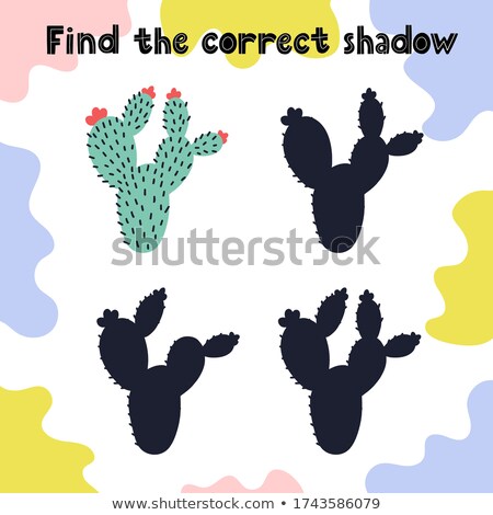 Сток-фото: Find The Correct Shadow Game For Kids - Cactus