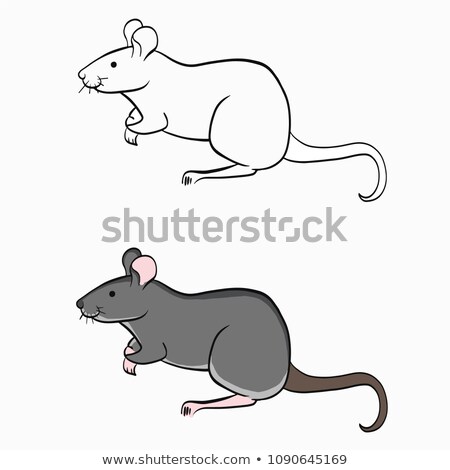 Сток-фото: Sketch Cartoon Mouse Rat Isolated On White Background Vector