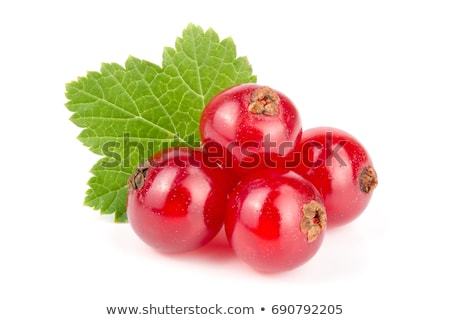 Stock photo: Red Currants