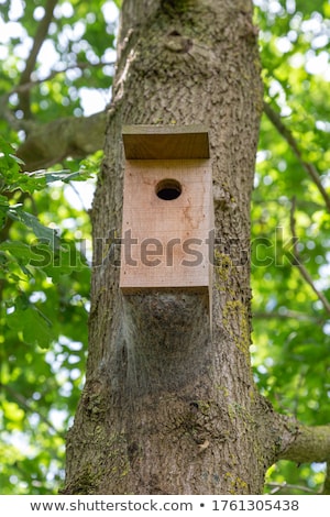 Stok fotoğraf: Nesting Boxes