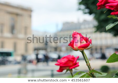 [[stock_photo]]: Glass Pyramid In Front Of The Louvre Museum Paris France