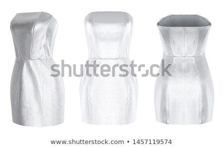 Foto stock: Back View Of Woman In Silver Leather Corset