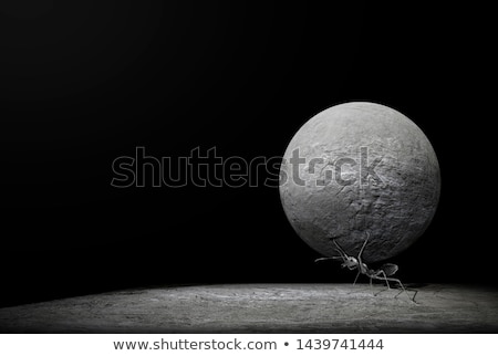 Foto stock: Funny Ant