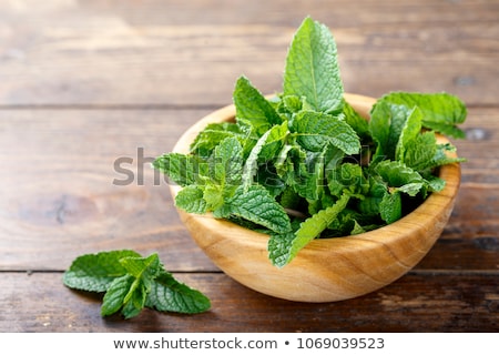 Stock fotó: Fresh Mint On Wooden Background