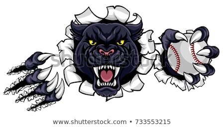 Сток-фото: Black Panther Baseball Mascot Breaking Background