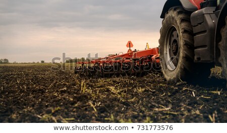 Zdjęcia stock: Soil Prepared For Cultivation