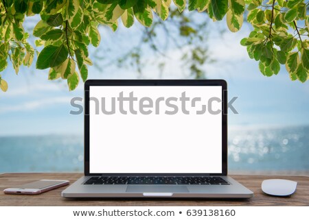 Stok fotoğraf: Computer Screen With Blurred Sea Background