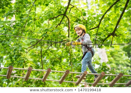 Stockfoto: Apes