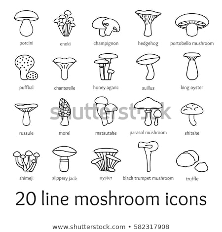 Foto stock: Icon Mushroom