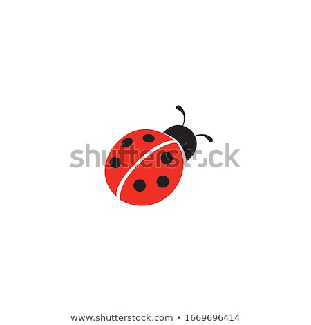 Stock fotó: Black Ladybug Icon