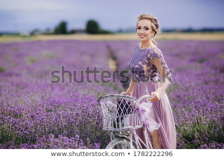 ストックフォト: Woman In Purple Dress And Hat With Retro Bicycle In Lavender Field