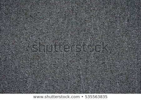 Foto stock: Grey Carpet