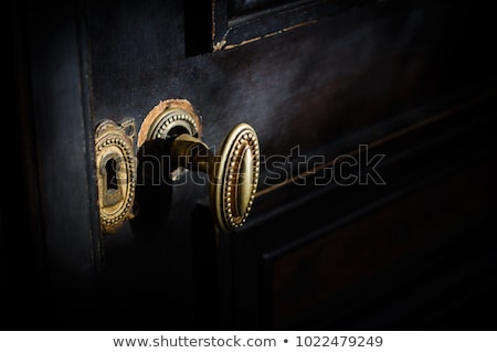 Stock photo: Detail Of An Old Door