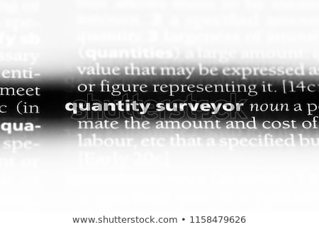 Foto stock: Dictionary Definition Surveyor