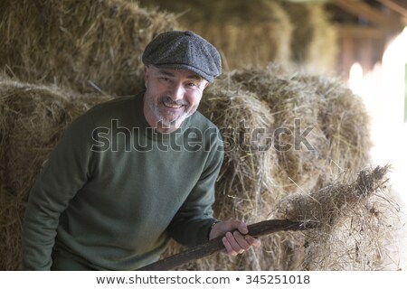 Foto stock: Happy Man Cleaning The Stables
