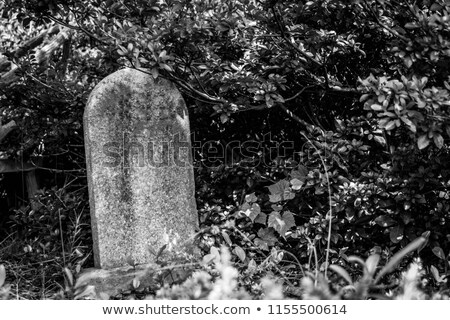 Zdjęcia stock: Oakland Cemetery Gravestones Landscape Atlanta Georgia Headstone