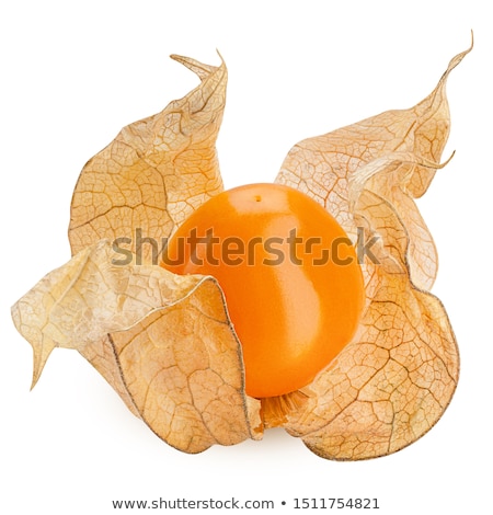 Zdjęcia stock: Cape Gooseberry Physalis Peruviana