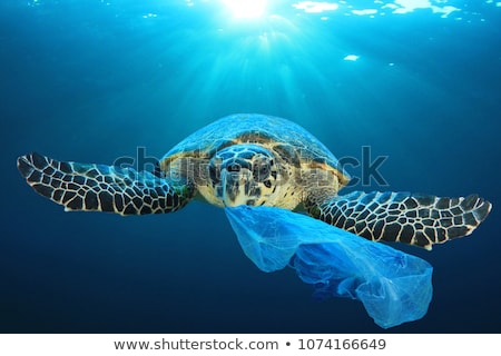 Stockfoto: Green Garbage Can With Plastic Bag
