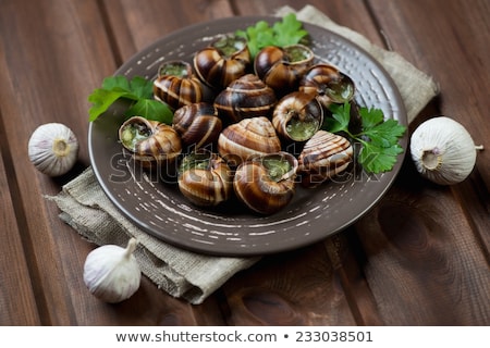 Foto stock: Bourgogne Snail French Gastronomy