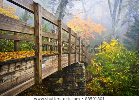 Stok fotoğraf: Pedestrian Bridge At Hiking Trail