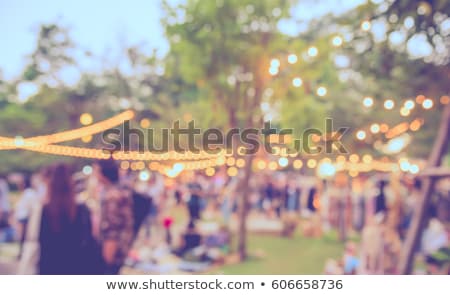 Zdjęcia stock: Blur Street Crowd In Summer Evening