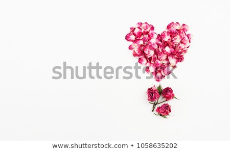 Stock fotó: Flat Lay Top View Minimalist Fashion And Beauty Photo Heart Shape Of Pink Rose Petals Minimalism