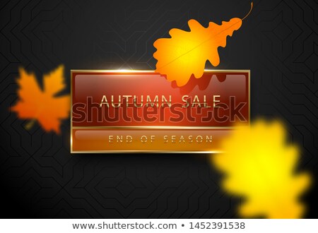 Foto d'archivio: Autumn Sale Vector Luxury Banner Golden Text And Frame On Black Maple Leaf Frame Dark Geometric