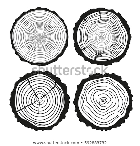 Zdjęcia stock: Tree Rings Background Cut Tree Trunk Wooden Texture Lumber Concept Vector Graphics