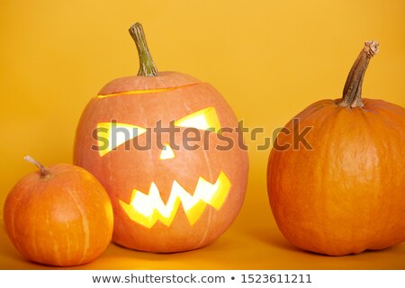Foto stock: Halloween Pumpkins Jackolanterns Isolated Objects On A White