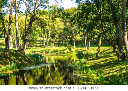 [[stock_photo]]: Mansion At Reservoir