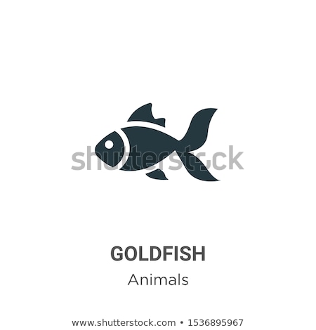 Foto stock: Goldfish Collection